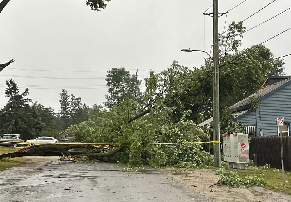 Storm causes major tree damage, widespread power outages post image