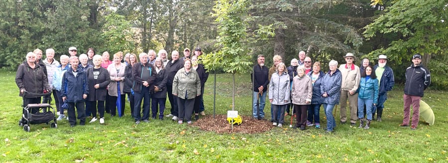 Memorial tree planted in honour of Clifford volunteer Bonnie Whitehead post image