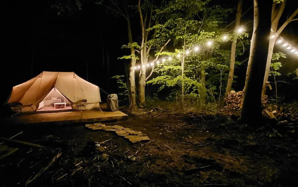 Wellington County examines diversifying farm land uses post image