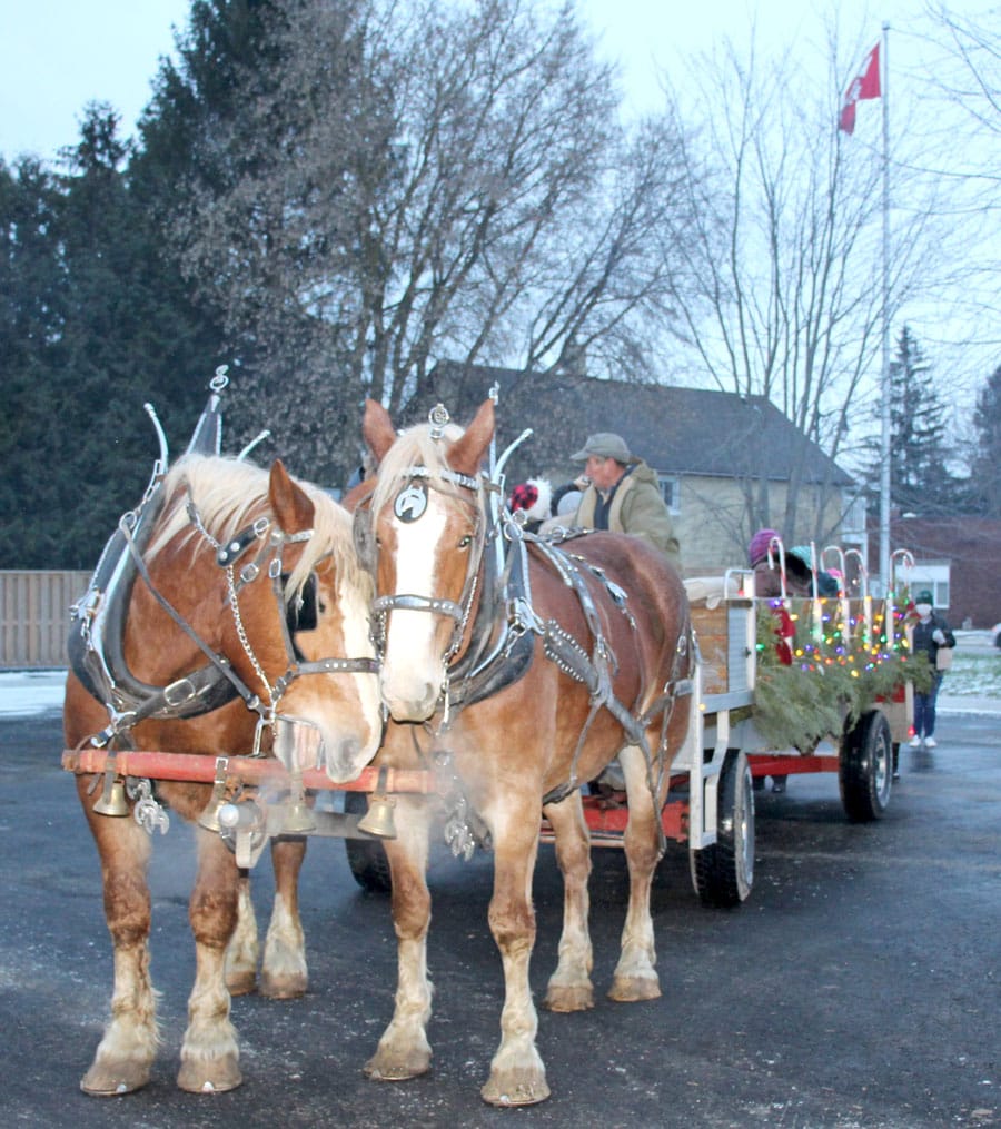 Clifford Santa Claus Parade celebration includes street party post image