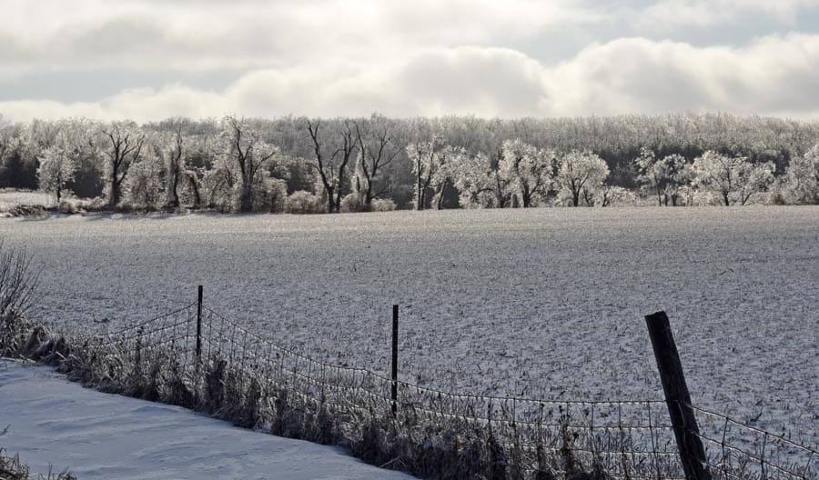 Erin, Wellington County asking province to rethink major Greenbelt changes post image