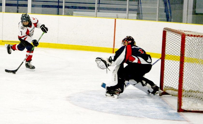 Drayton, Minto minor hockey associations ponder amalgamation post image