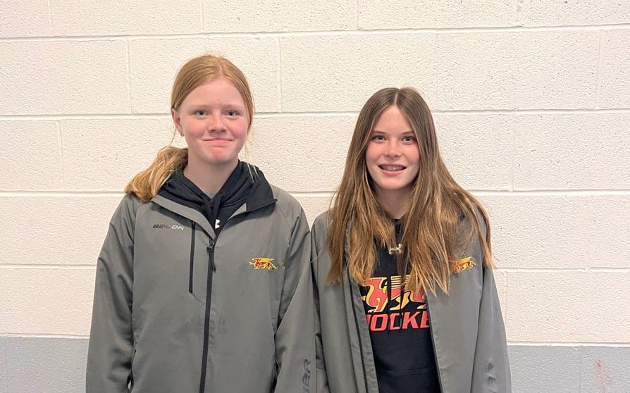 She shoots, she scores: women’s hockey has come a long way in 30 years post image