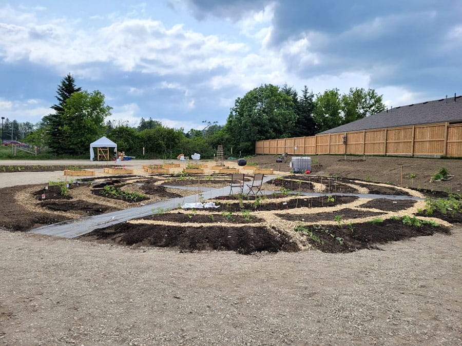 Community garden grows food, friends and partnerships in Mount Forest post image
