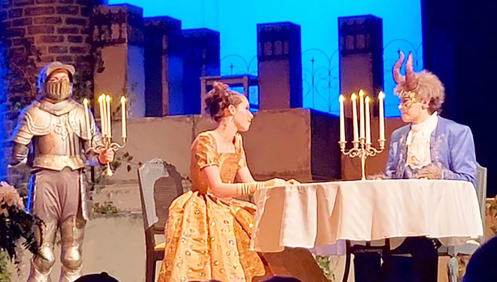 Council endorses call for re-instatement of Norwell Grade 9 APP program post image