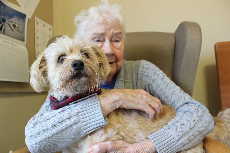 ‘Little Cliff’ brings comfort, joy, purpose to Wellington Terrace residents post image