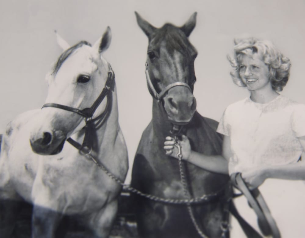 Mount Forest horse whisperer has royal encounter post image