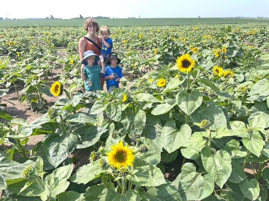 Shine Your Light Sunflower Tour raises over $6,000 for hospital post image