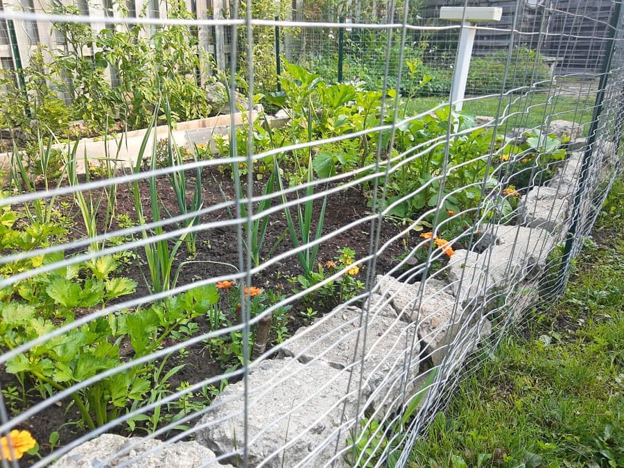 OPINION: Be vewey quiet! We’re hunting wabbits post image