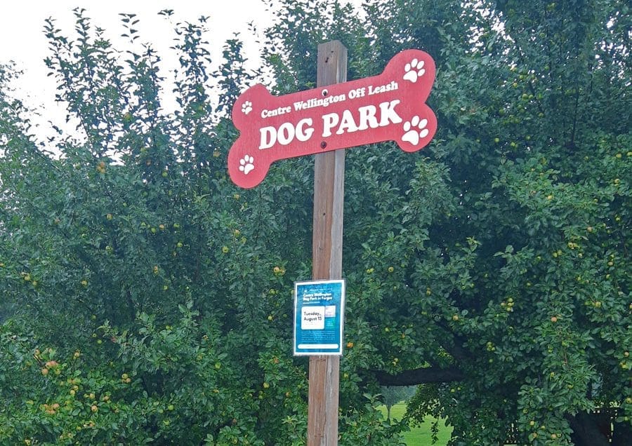 Don't change our dog park, residents urge post image