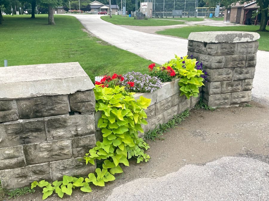 Mapleton Buds and Blooms busy tending gardens post image
