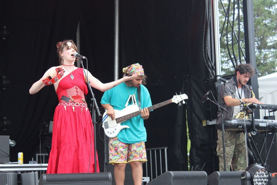 Riverfest Elora brings musical talent to Bissell Park post image