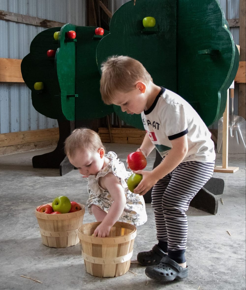 ‘Farmer for a Day’ returns to Fergus Fall Fair for 10th season post image