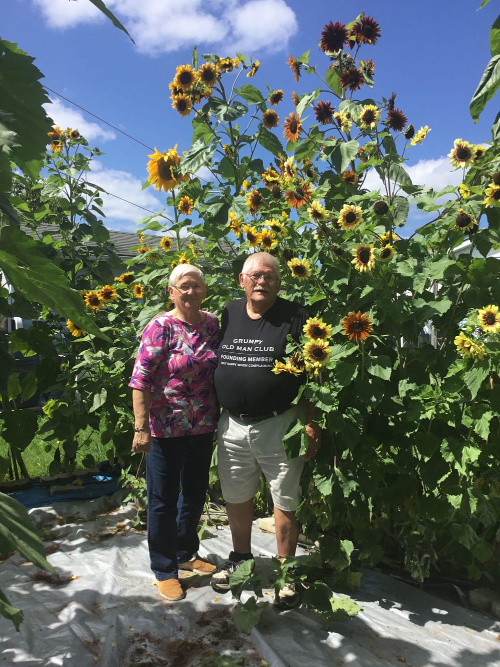 Seed saving experts share advice on collecting and storing seeds post image