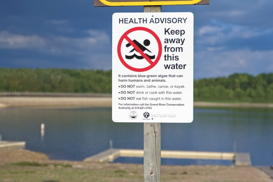 Blue-green algae spotted on Conestogo Lake post image