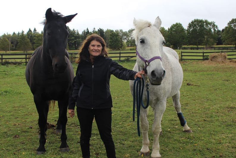 Irish Creek Stables well on road to recovery after equine herpesvirus outbreak post image