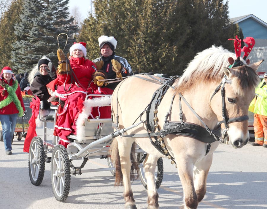 Non-motorized Holstein parade a seasonal spectacle on Dec. 9 post image