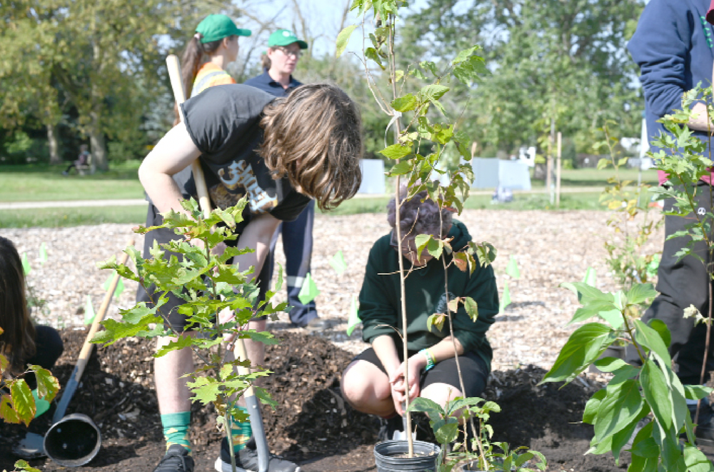Students help kick off mini-forest project post image