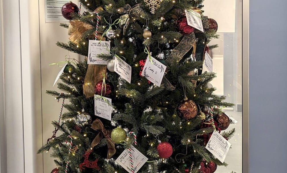 ‘Light Up Louise Marshall Hospital’ fundraiser to bring holiday cheer post image