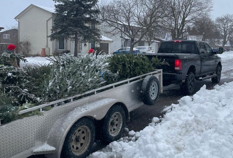 Trees for Tots raises over $93,000 for Children’s Foundation post image