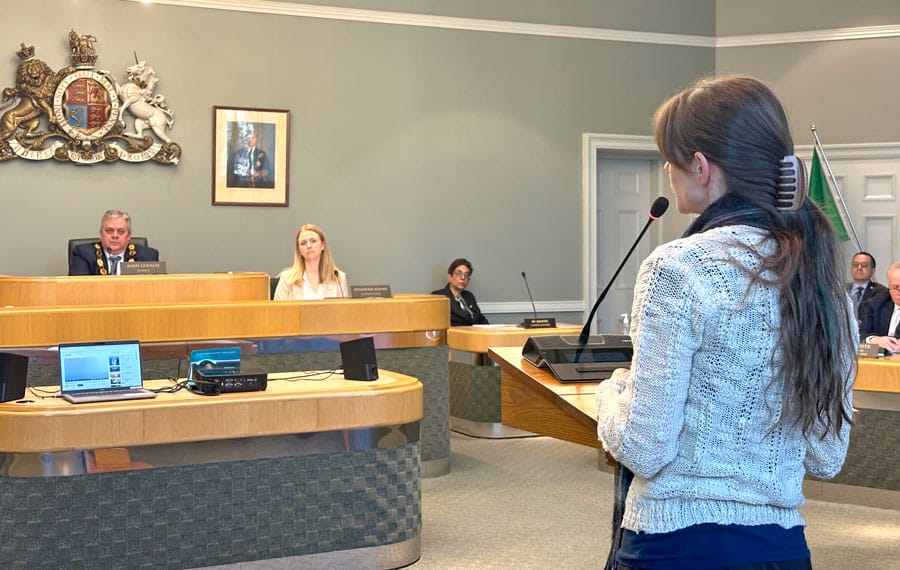 County council asked to declare intimate partner violence an epidemic post image