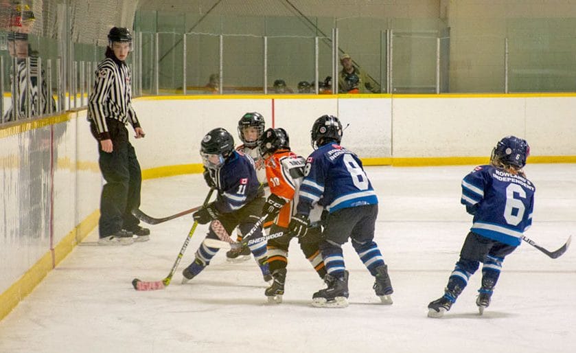 Mapleton council approves agreement to stream events from PMD arena post image