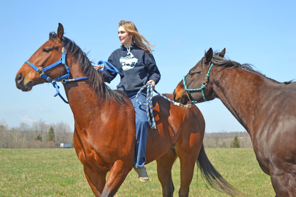 Real-life cowgirl: Ontario High School Rodeo Association competitor Amber Gregson post image