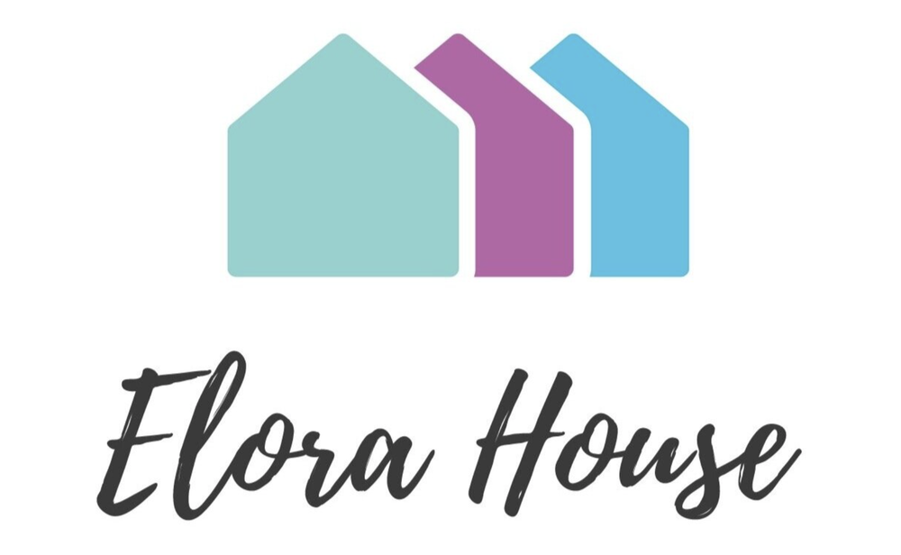 Elora House hosting Princess Gala fundraiser at GrandWay post image
