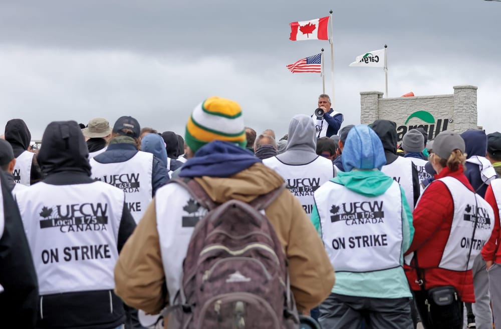 Close to 1,000 workers on strike at Cargill's beef processing plant in Guelph post image