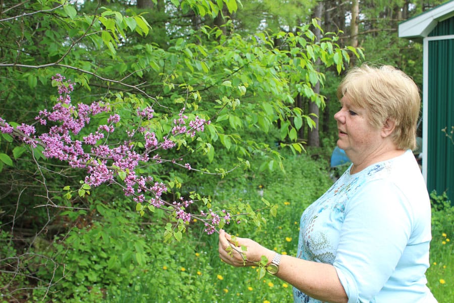 Trees key to supporting ecosystems: Puslinch native plant specialist post image