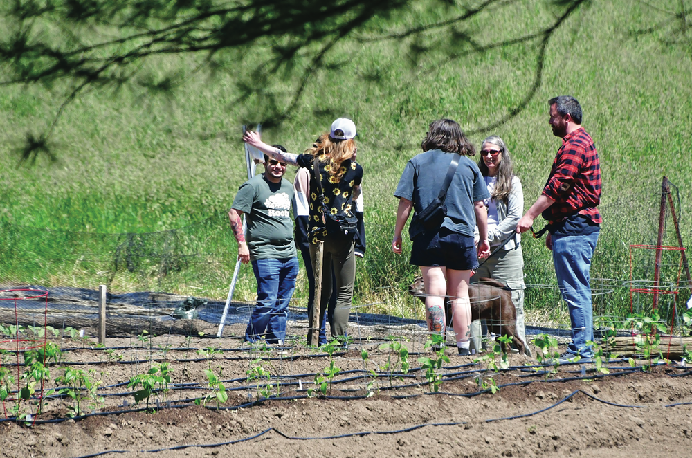 Wicked Welly Farm and Apiary offers farm tours post image