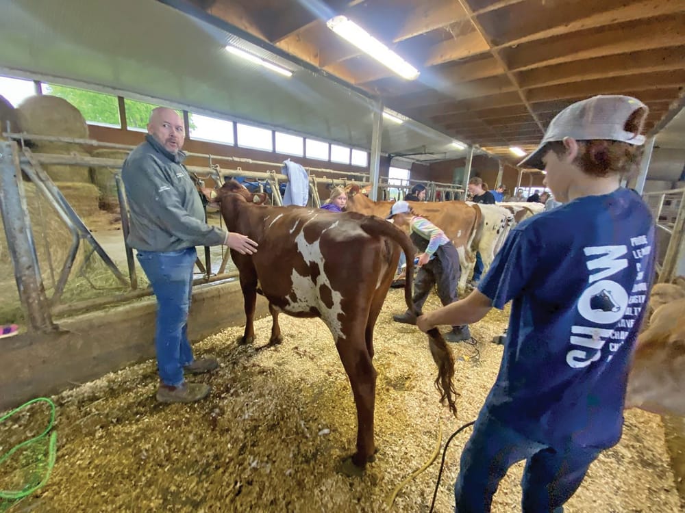 Eramosa 4-H Dairy Club members prep for upcoming shows and fairs post image