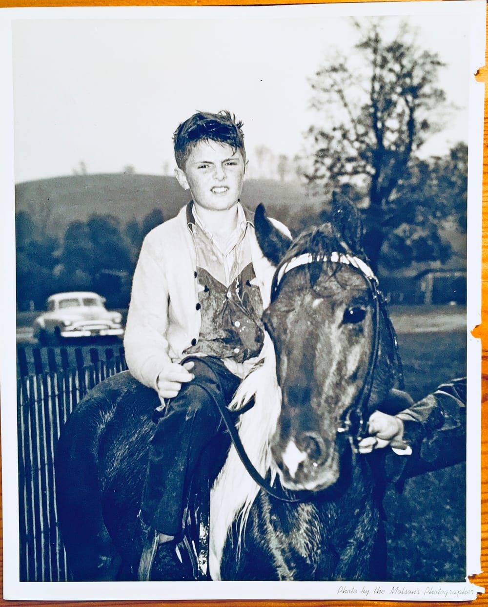 Erin Fall Fair Horse Heritage Awards celebrate rich history post image