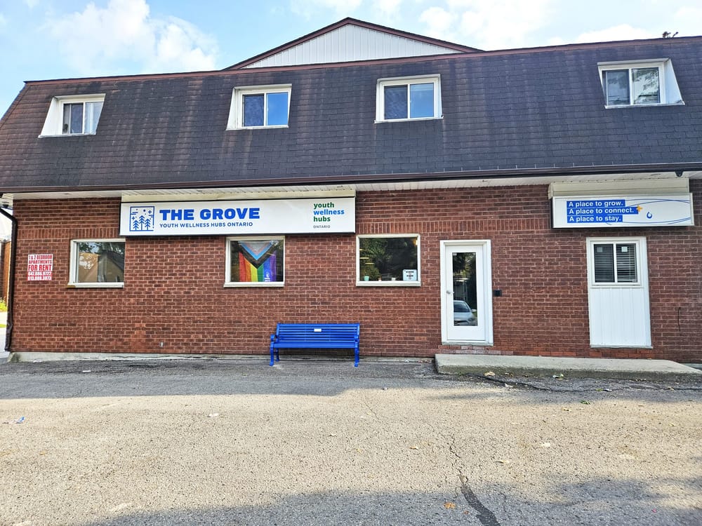 Palmerston wellness hub focuses on youth’s mental health post image