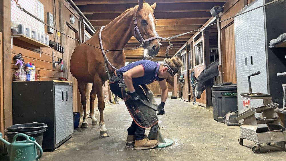 Farrier Sara Veenstra brings happiness, one hoof at a time post image
