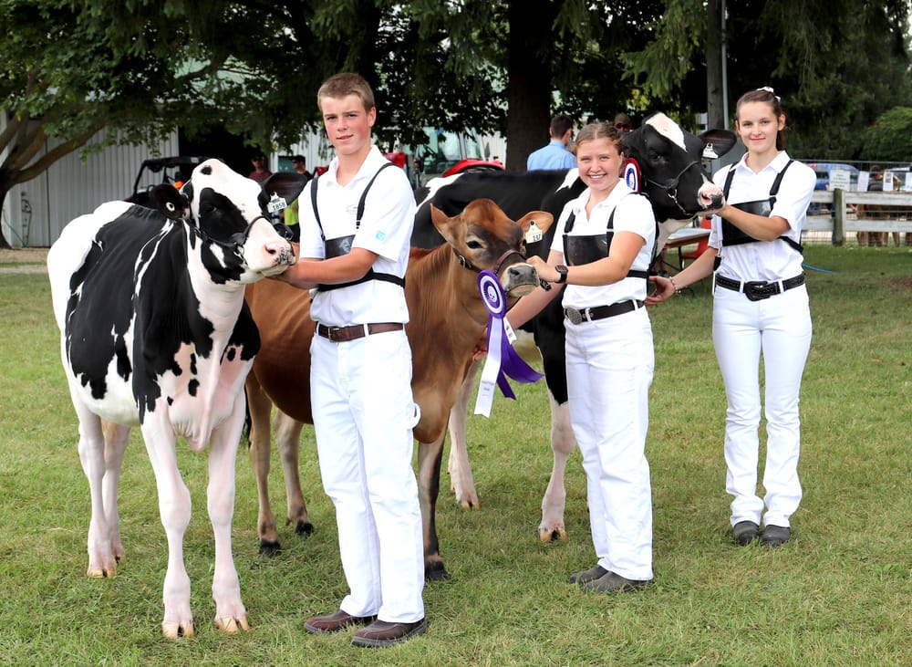 Record-breaking attendance at ‘best ever’ Drayton Fair post image
