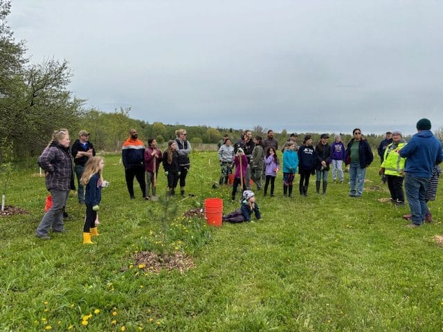 Trees for Mapleton achieves milestone with W. Paul Day Forest Project post image