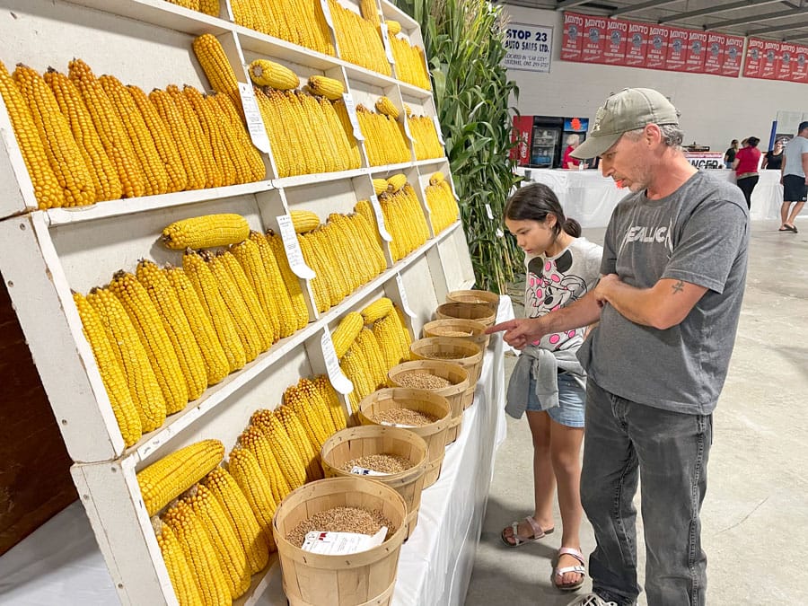 Harriston-Minto Fall Fair returns for 165th year post image