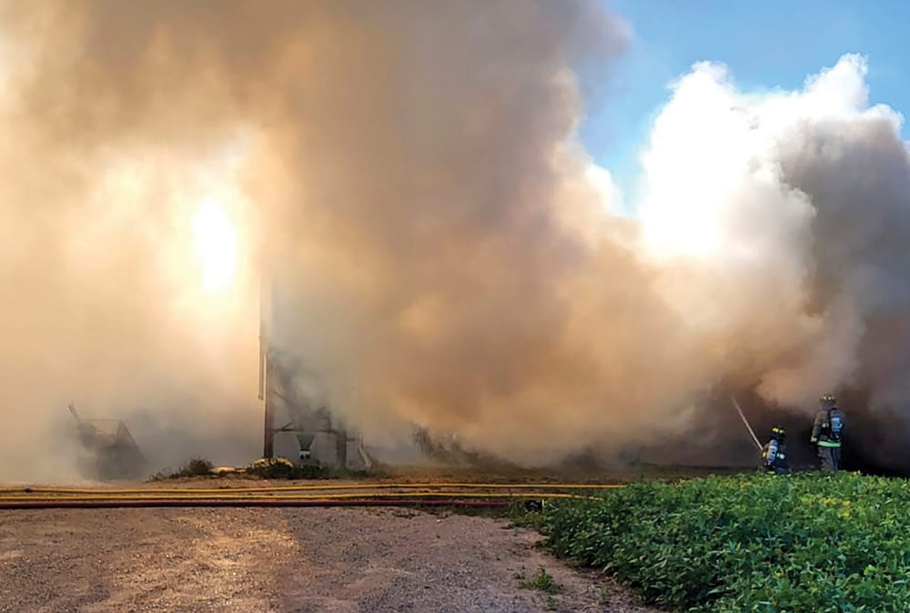 Close to 1,600 pigs die in Wellington North barn fire post image