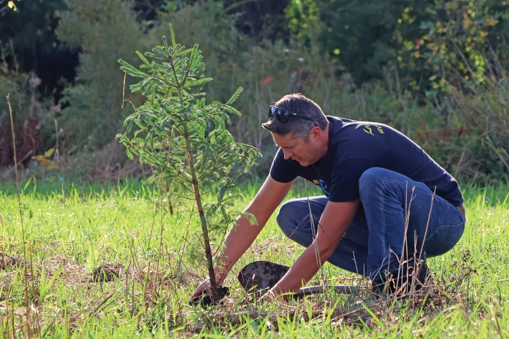 County volunteers dig in to help environment at Warden's Tree Planting post image