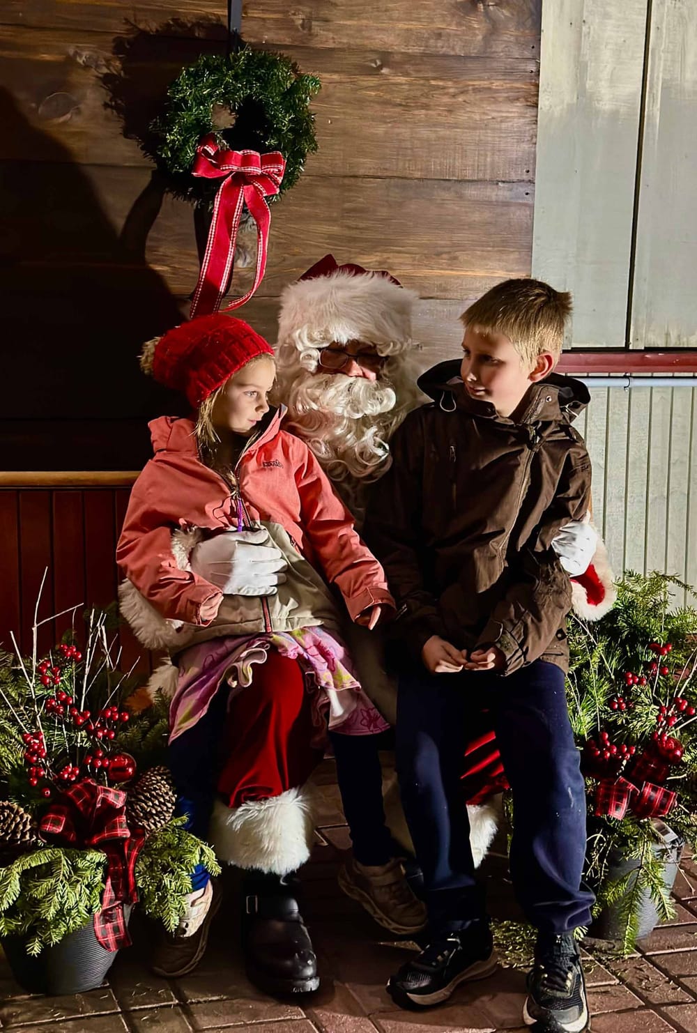 Palmerston lights up the park for holiday season post image