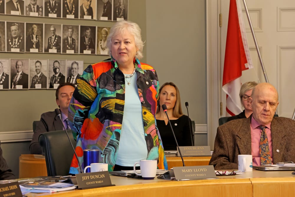 Five councillors vying for position of Wellington County warden post image