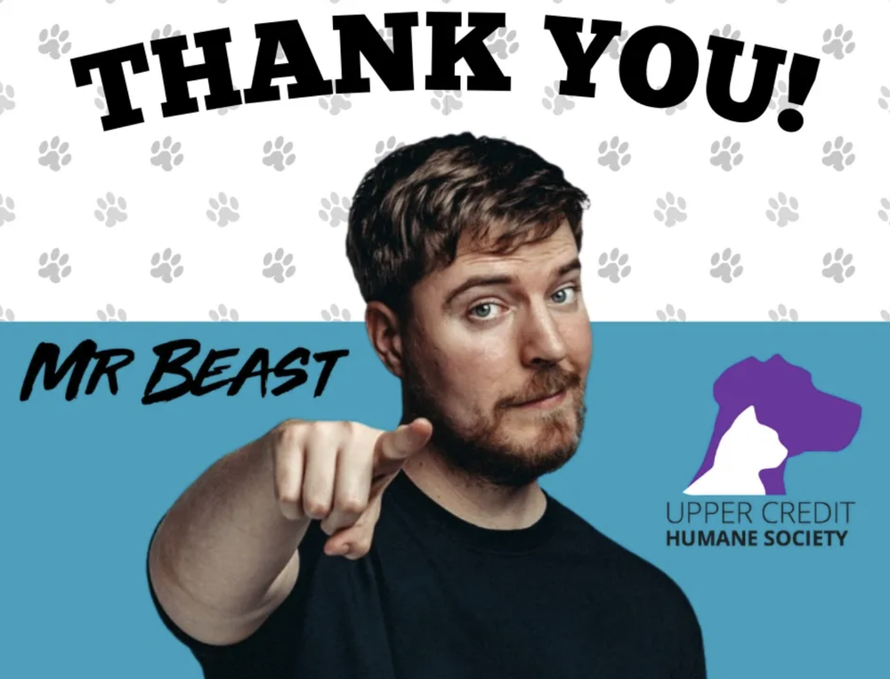 YouTube superstar MrBeast donates to local humane society post image
