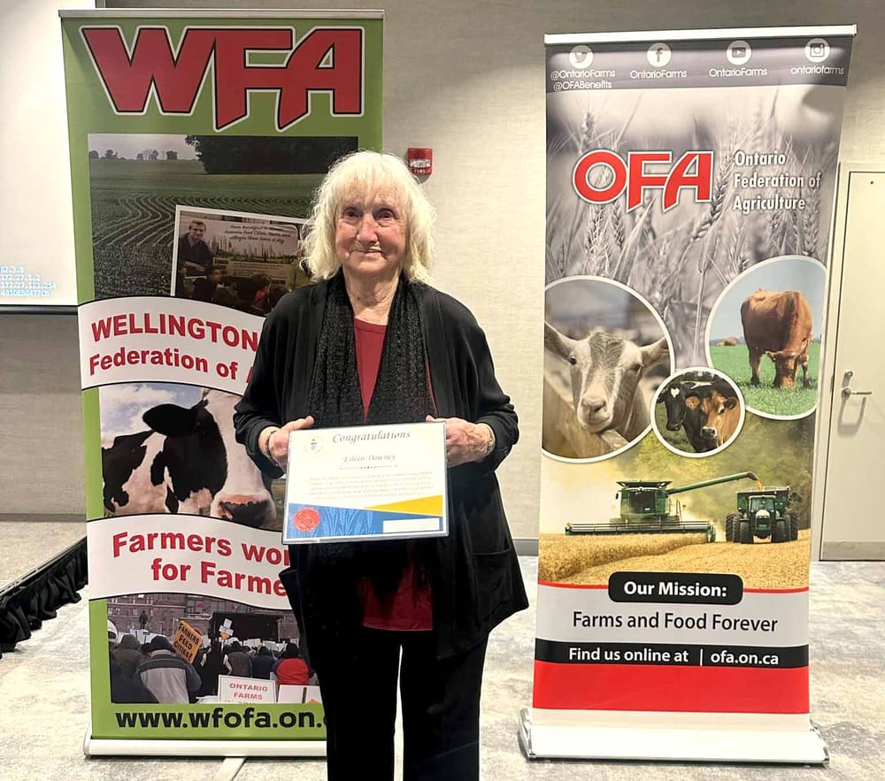 Eileen Downey receives WFA community award post image
