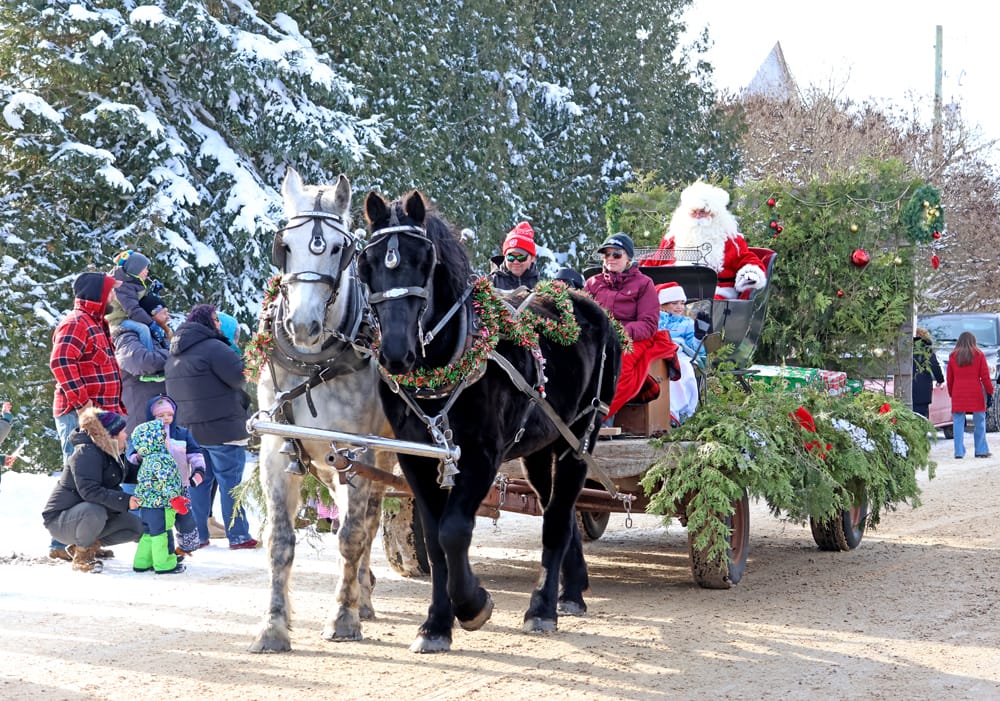 Crowds gather to see horses bring Santa Claus to Holstein post image