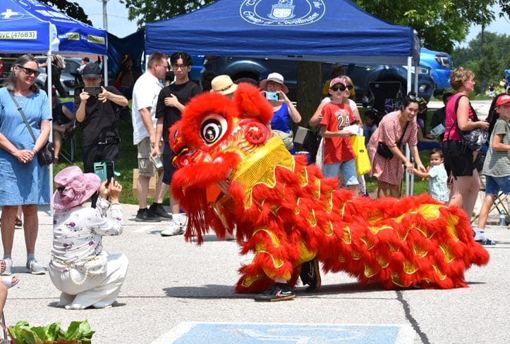 County seeking vendors, performers for Multicultural Festival post image