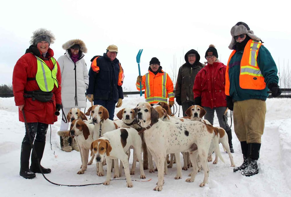 Wellington-Waterloo Hunt Club celebrates 60 years of horses and hounds post image