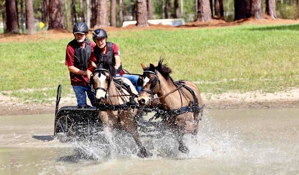 Puslinch drivers return victorious from U.S. championship post image