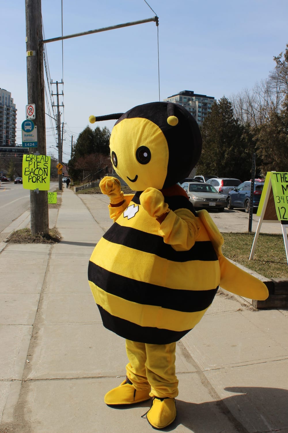 Sap to Syrup Market hosted by Hive Arts Collective post image