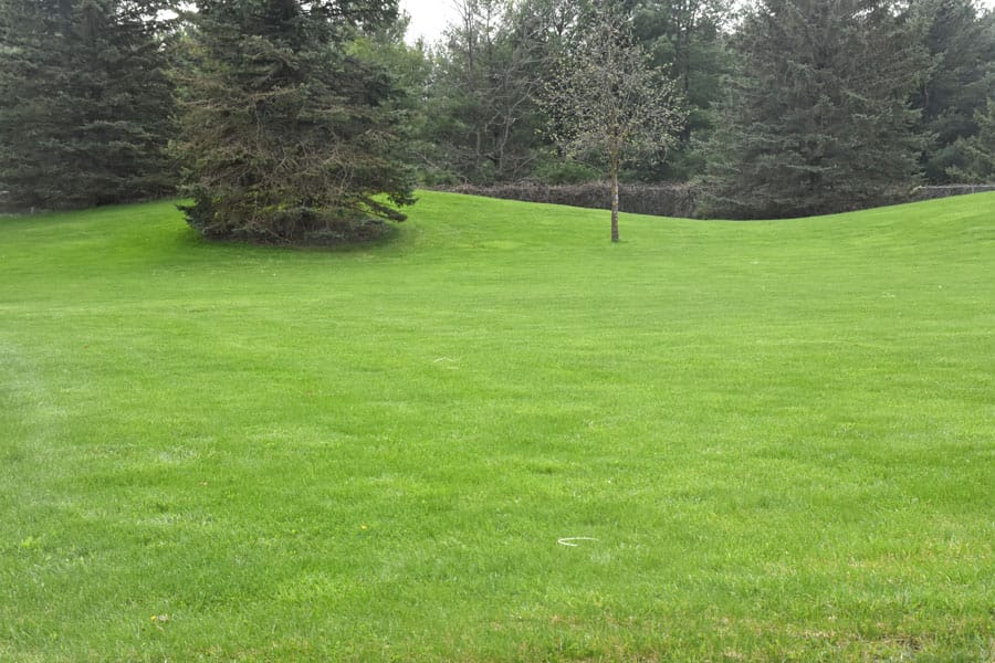 Lawn care doesn’t have to be hard. And a little care goes a long way post image